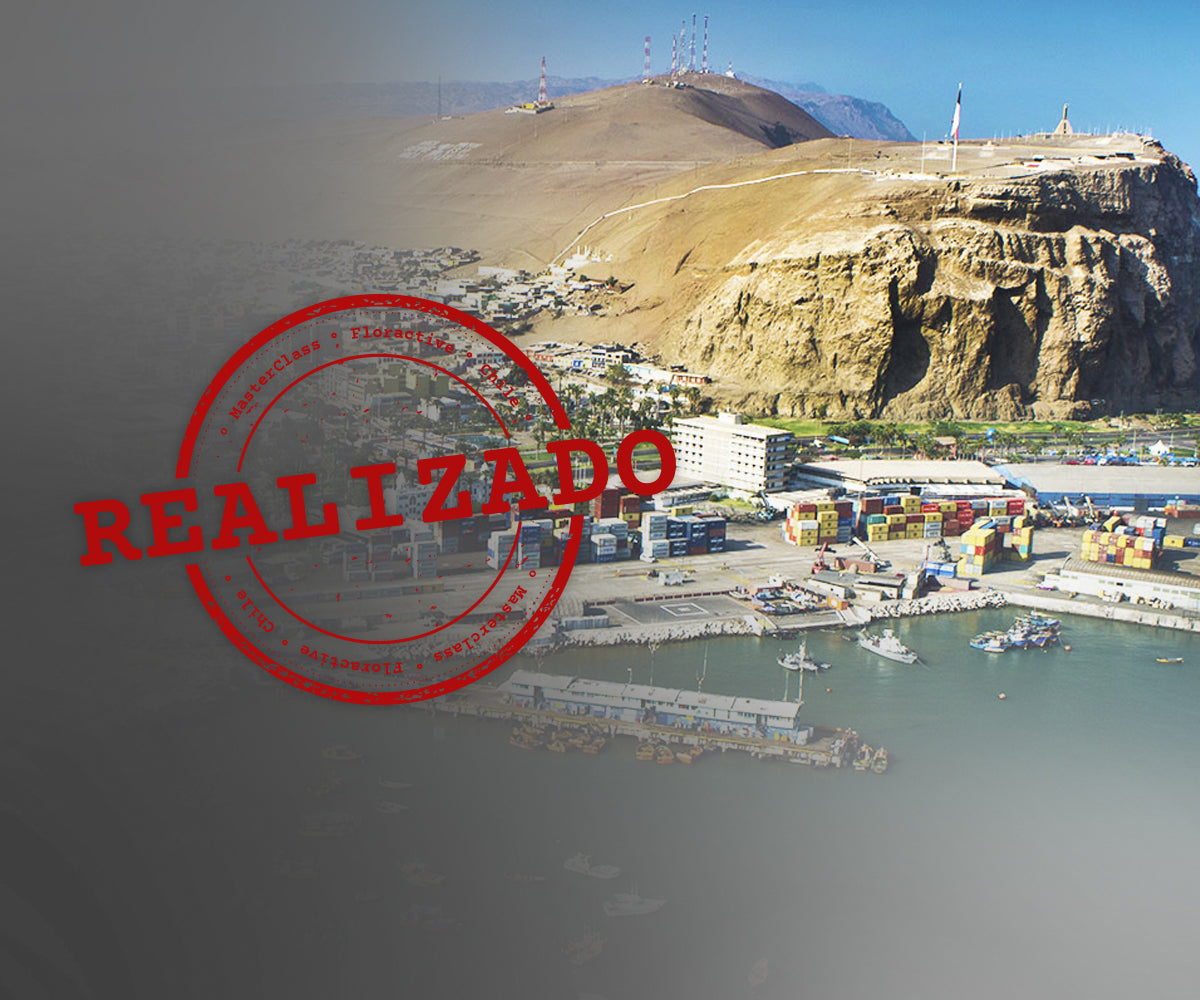 Capacitación Arica 20 de Julio