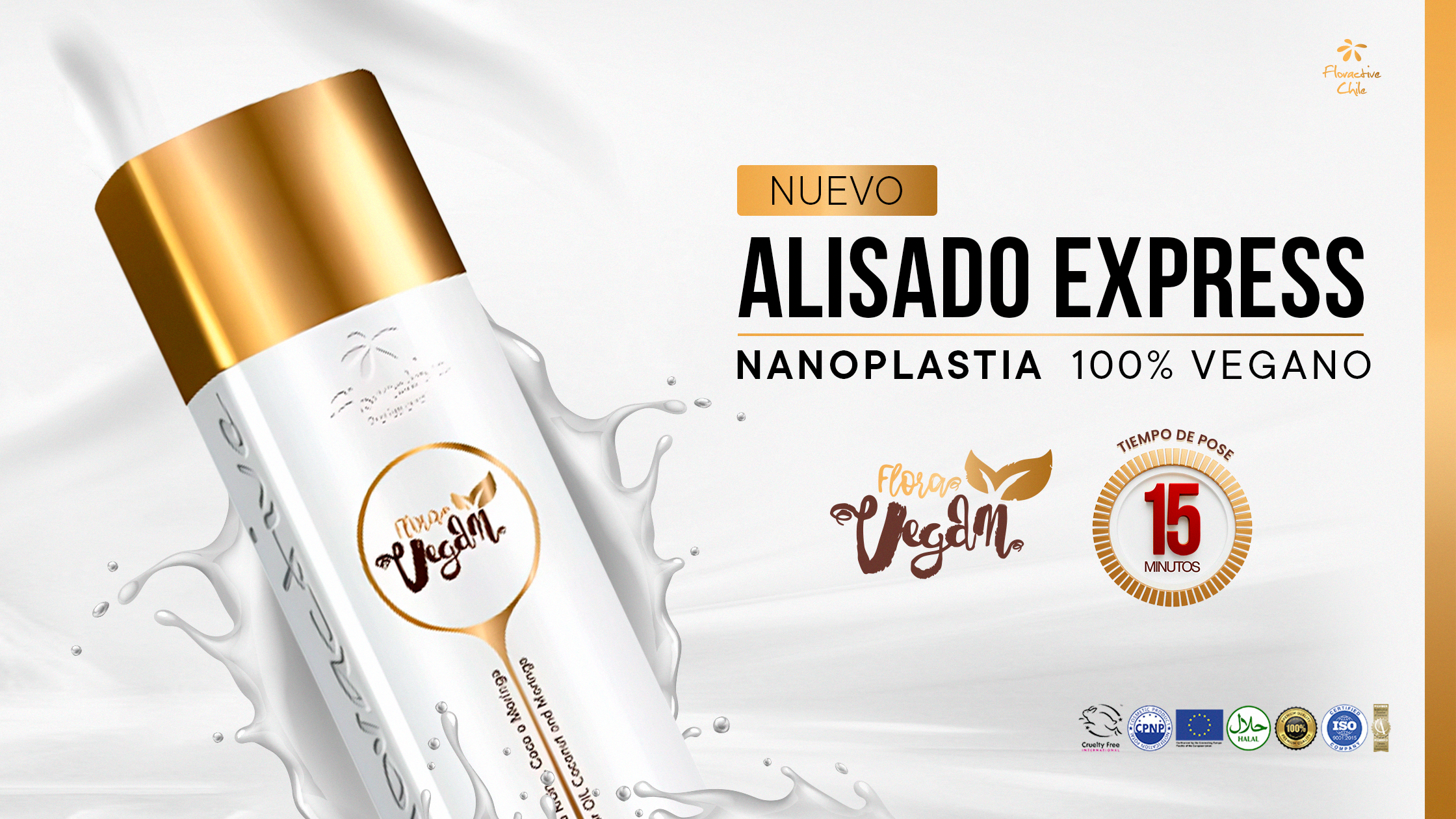 ⚡️OFERTA FLASH⚡️