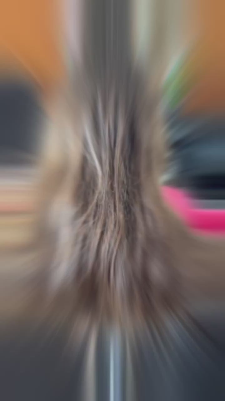 Bio Botox Mandioca 1kg